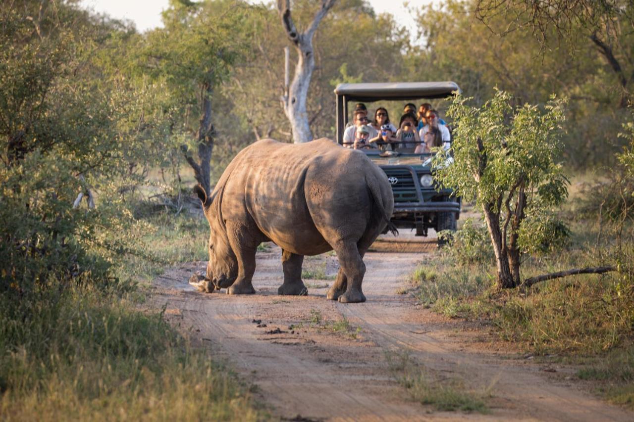 Tshukudu Game Lodge Hoedspruit Exteriör bild