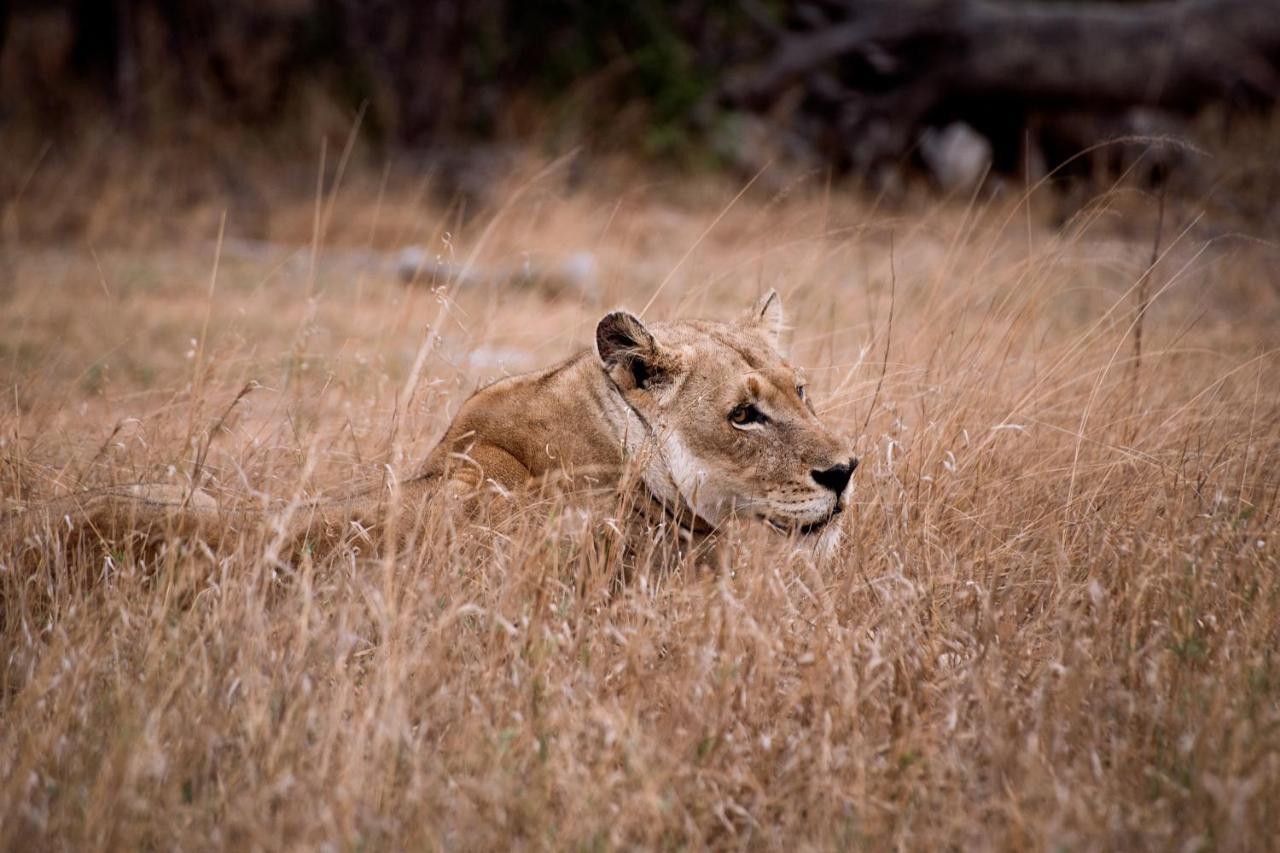 Tshukudu Game Lodge Hoedspruit Exteriör bild